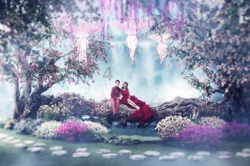 救援小袋熊